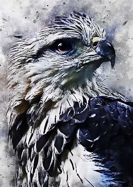 Paint Eagle