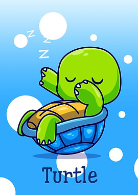 Turtle