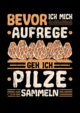 Pilze Sammeln Schwammerl