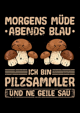 Steinpilze Sammeln Pilze