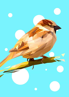 Sparrow