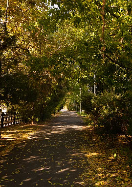 Autumn Park