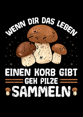 Pilze Korb Pilz Sammeln