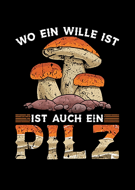 Pilze Sammeln Steinpilz