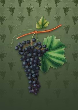 Vintage Berzemina Grape