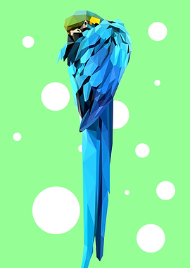 Parrot