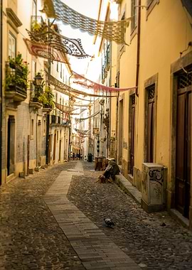 Coimbras Flying Doily XI