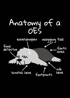 Anatomy Of An OES