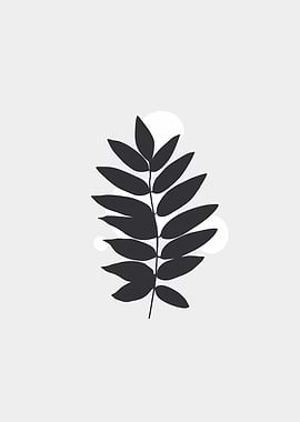 hand drawn leaf black
