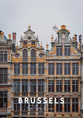 Brussels in Coordinates