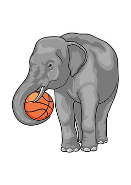 Elephant Basketball Sports