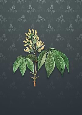 Vintage Yellow Buckeye