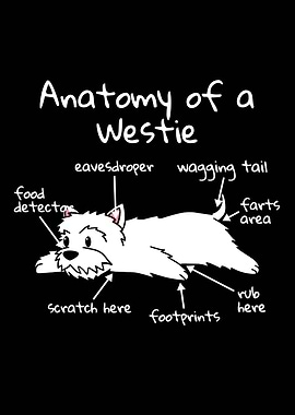 Anatomy Of A Westie