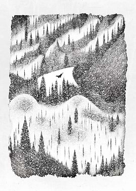 Snowboard and Freeride