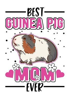 Guinea Pig Gift