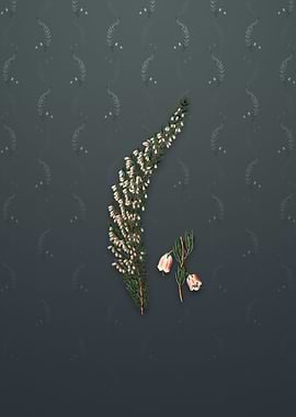 Bell Bearing Heath Flower