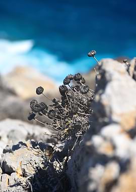 Hike in Karpathos Greece