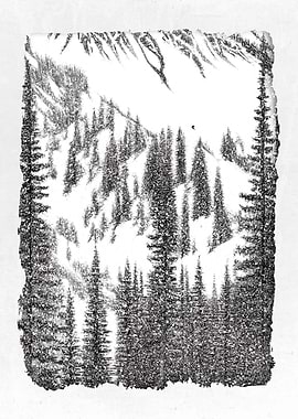 Snowboard and Freeride