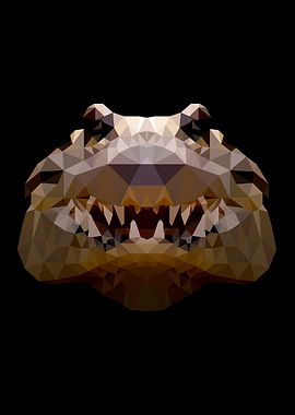 Alligator