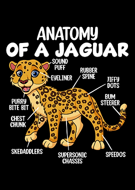 Anatomy Of A Jaguar