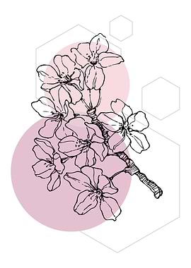 Sakura Minimal