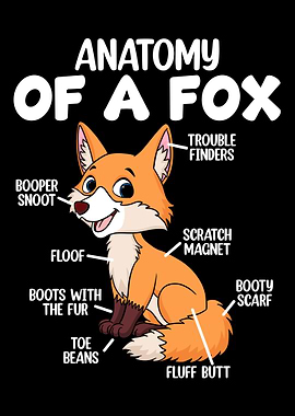 Anatomy Of A Fox