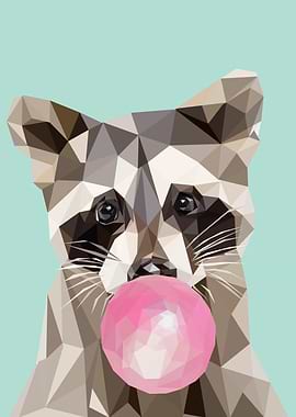 bubble gum animal raccoon