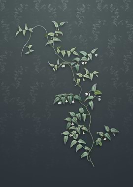 Vintage Bridal Creeper