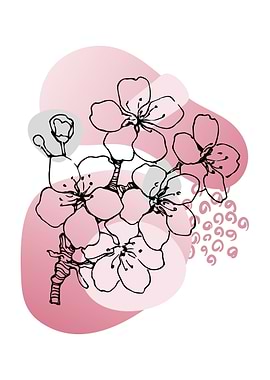 Sakura Cherry Blossom