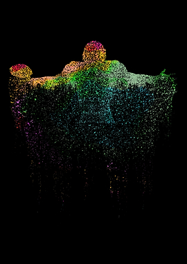 American Football Player