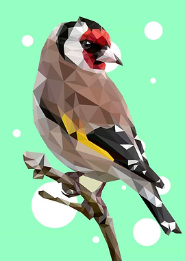 European Goldfinch