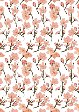 Cherry Blossom Flower 32