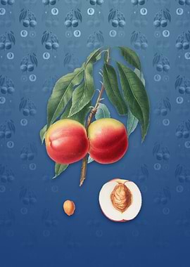 Peach on Bahama Blue