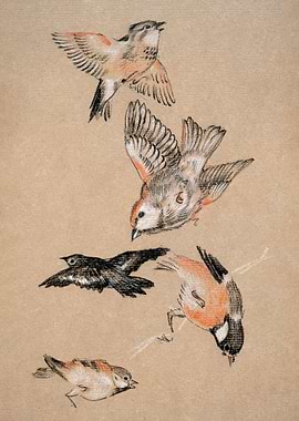 Love leading the Pilgrim