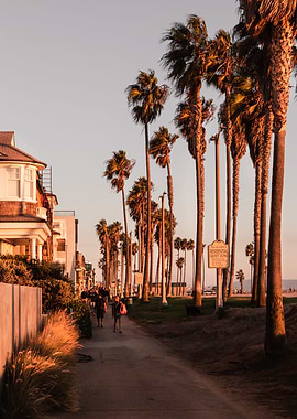 Venice Beach Sunset