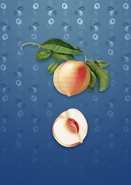 Peach on Bahama Blue