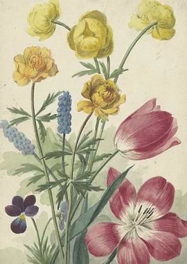 Boeket van tulpen