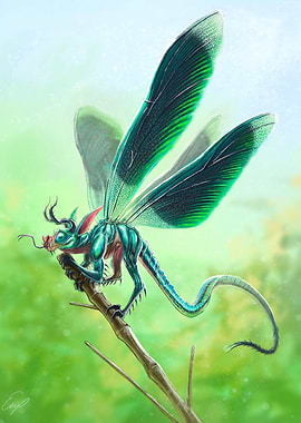 DRAGONFLY