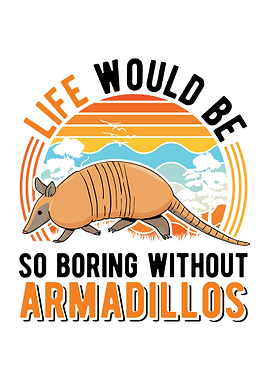 Armadillo Gift