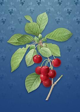 Cherry on Bahama Blue