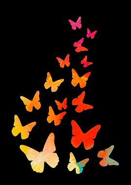 Butterfly Animal