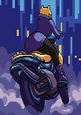 Pixel art woman rider