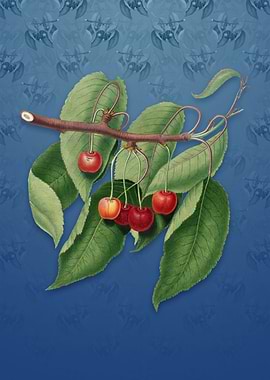 Cherry on Bahama Blue