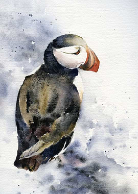Icelandic Puffin Artwork