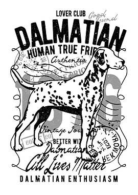 Dalmatian Vintage