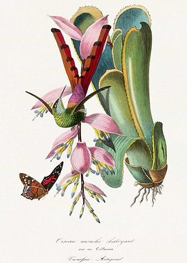 Hummingbird painting