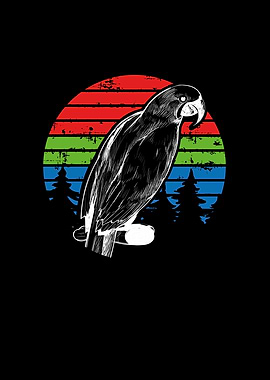 Parrot vintage sun