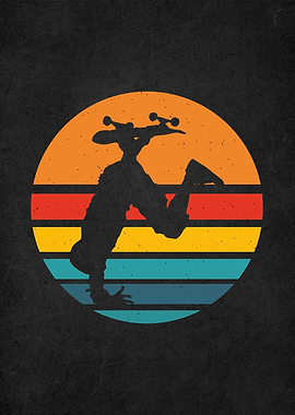 vintage retro skateboard