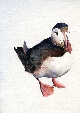 Puffin Iceland Artwork