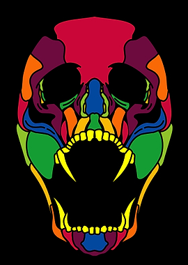 skull bone color